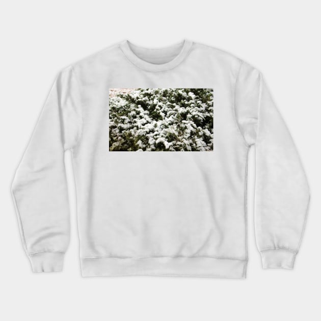 Snow Bush Crewneck Sweatshirt by Cynthia48